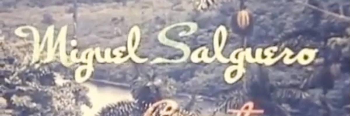 Miguel Salguero banner