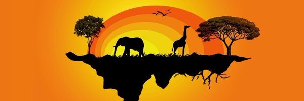 Africa In Focus Profile Banner