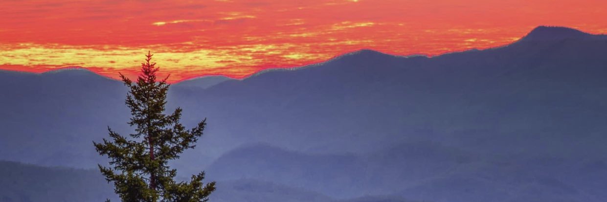 sharon_mccarter's profile banner image