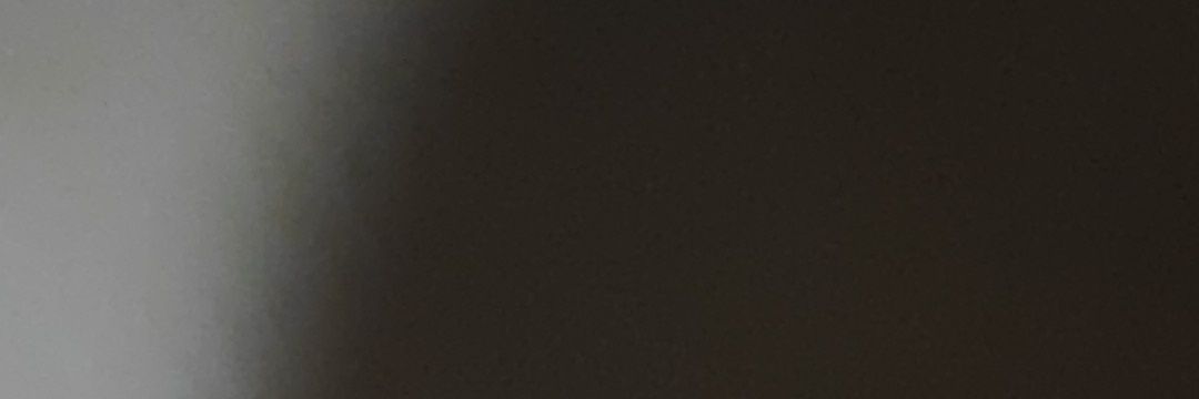Irene H banner