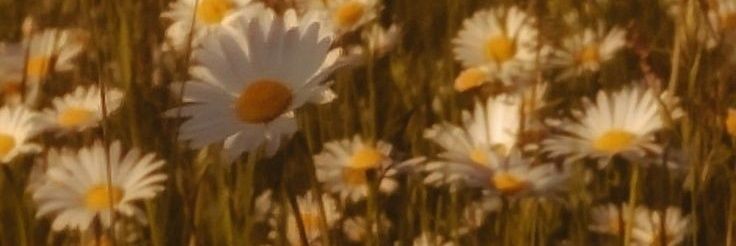 __Kachka's profile banner image