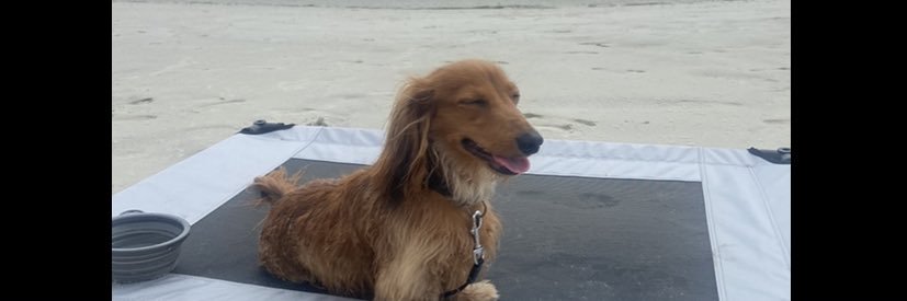 SimplyKaddie's profile banner image