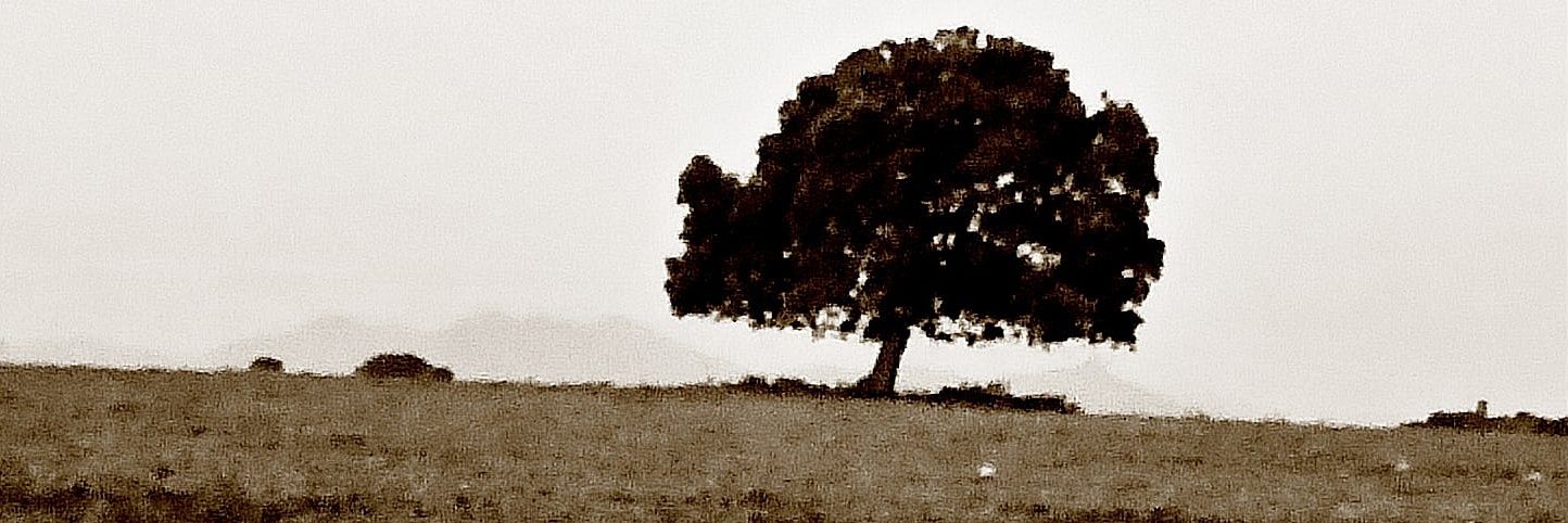 brenoajsoares's profile banner image