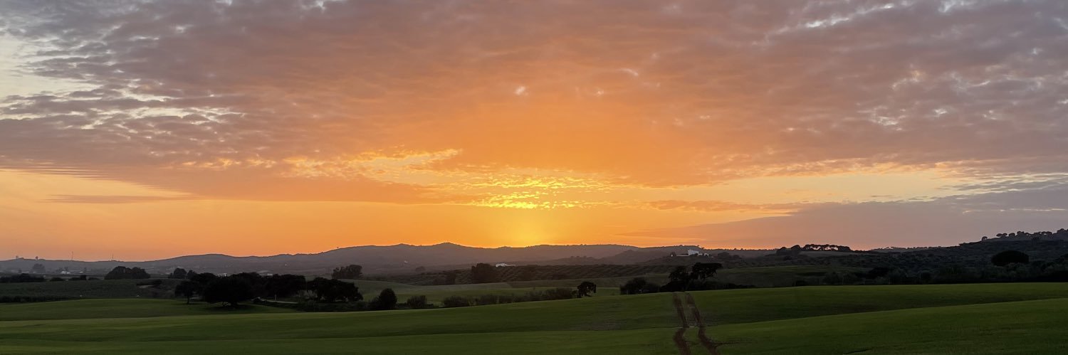 melissaleyvab's profile banner image