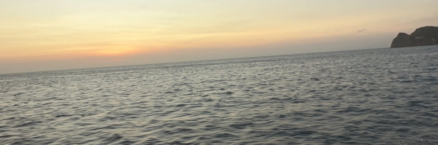 ceciquiu's profile banner image