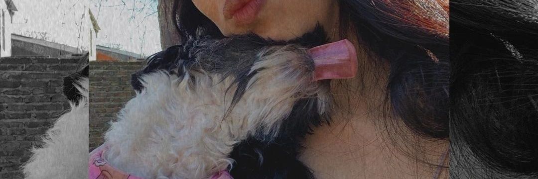 paoliitage's profile banner image