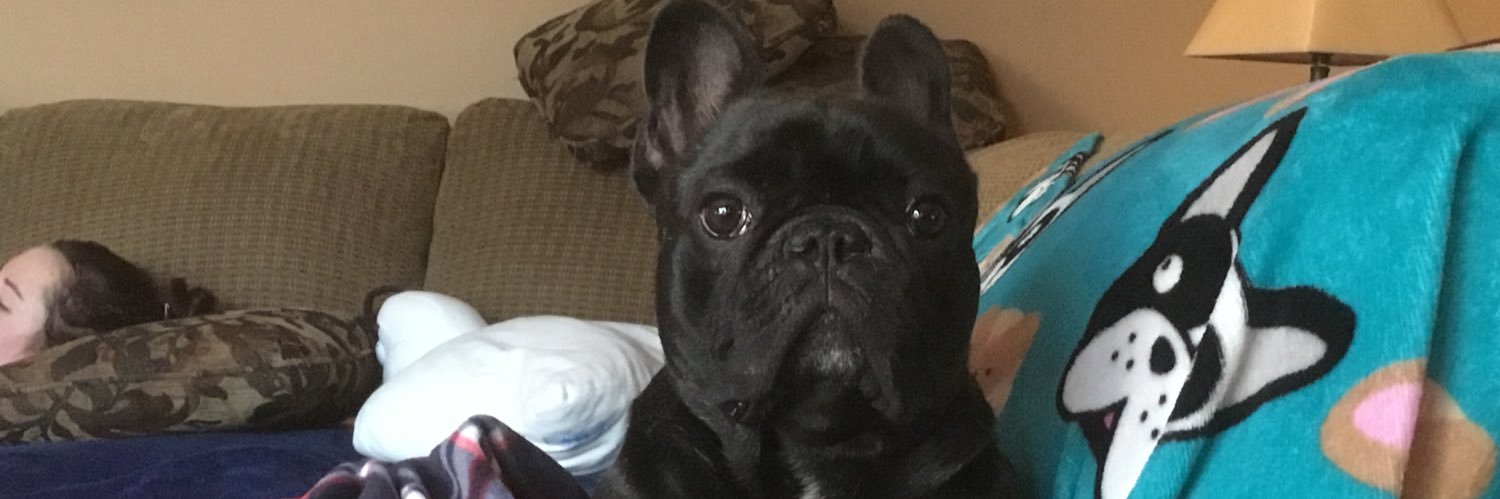 taytitus3's profile banner image