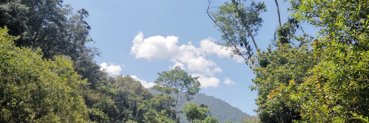 elgefe02's profile banner image