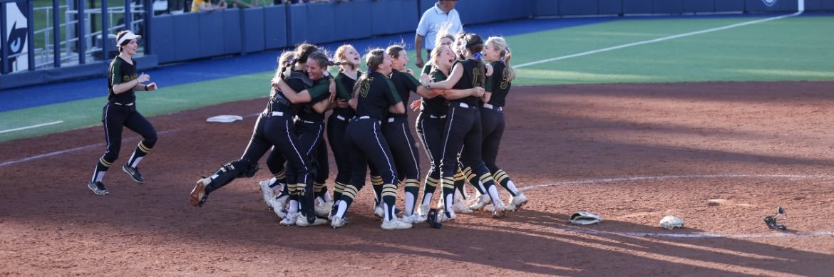 Elizabeth Mitchell banner