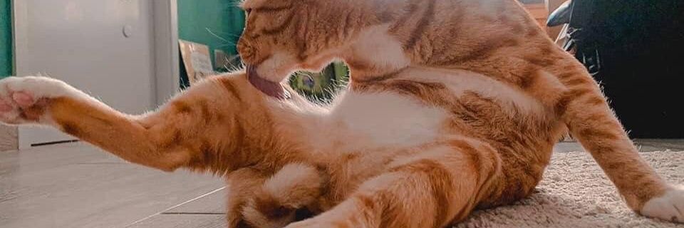 thing_ny's profile banner image