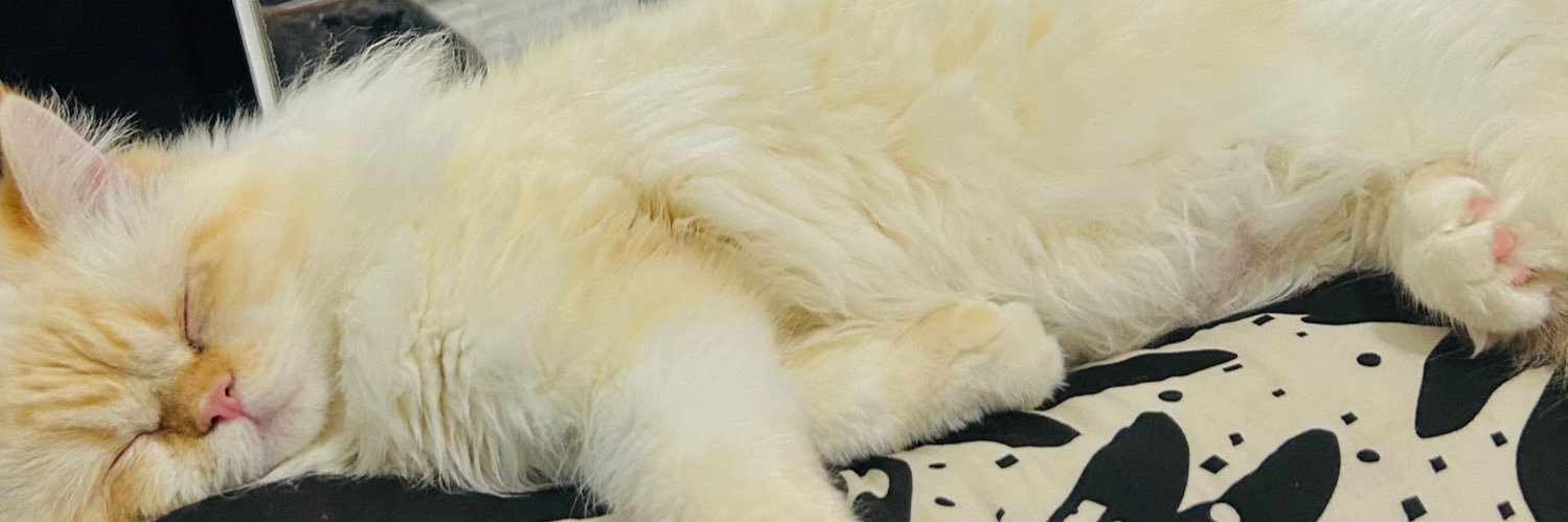 aricristinx's profile banner image