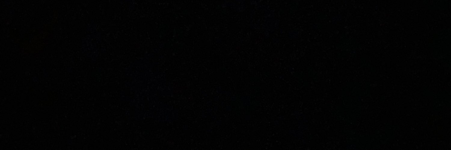 lulivicentin's profile banner image