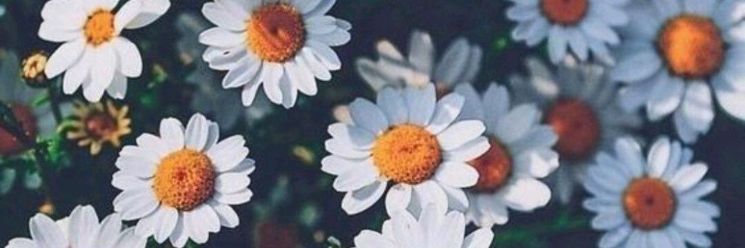 RosbelyQ's profile banner image