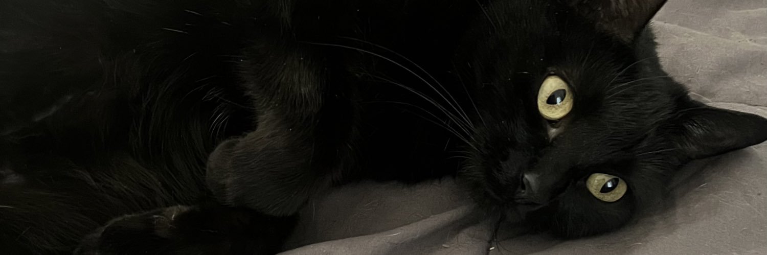 facusanchezbr's profile banner image
