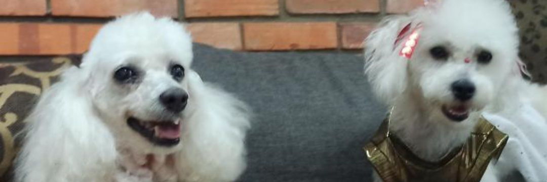 aanaaly's profile banner image