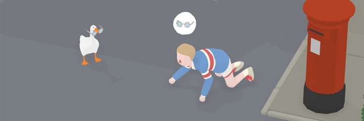 Steph Yang | Horrible Soccer Goose banner