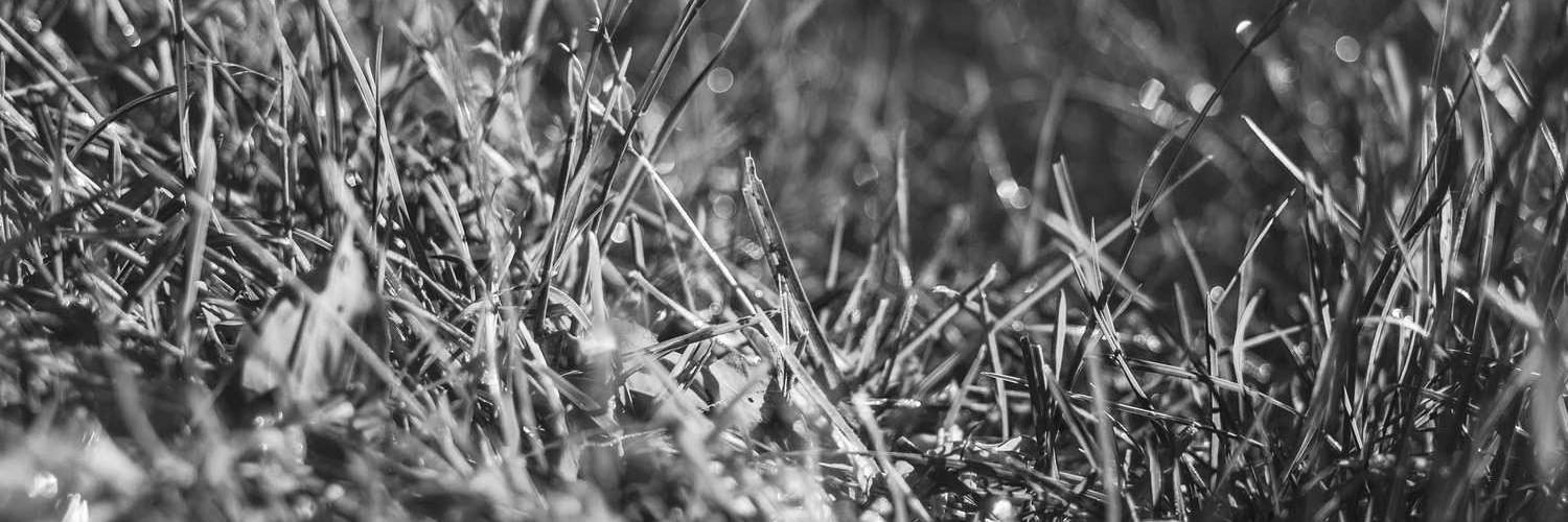 Bendxarlson's profile banner image