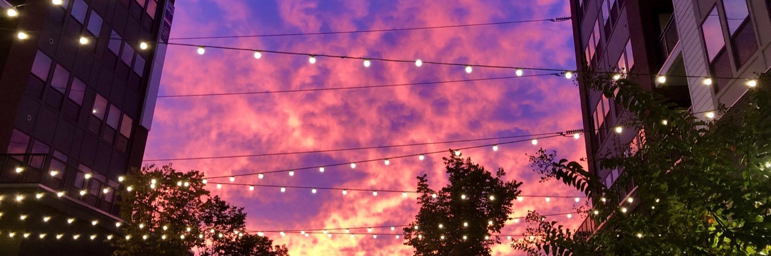 Jessica Dauler banner