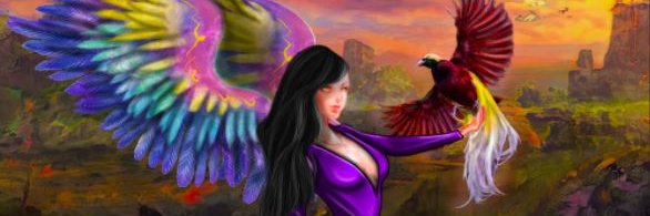 Oasis4Birds banner
