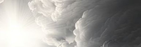 Naoki_lol_ Profile Banner