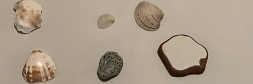 dicanales's profile banner image