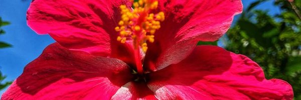 pbbnonstan4ev Profile Banner