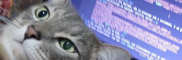 Oleanji_sol Profile Banner