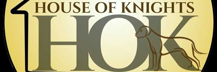 House of knights's banner