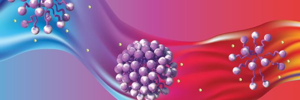 idevanshkaushik Profile Banner