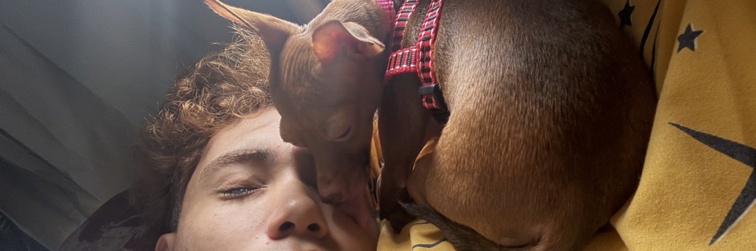 Dan banner