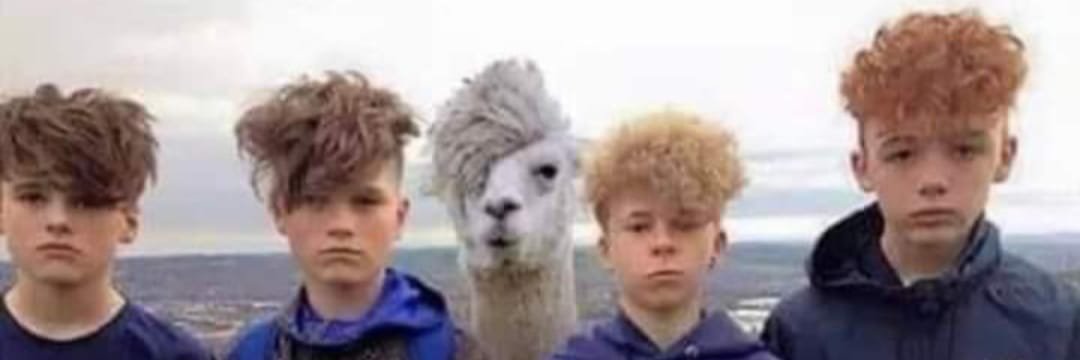 Llama Riders🦙 banner