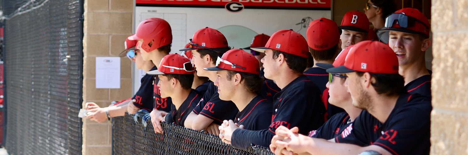 Will Steffens banner