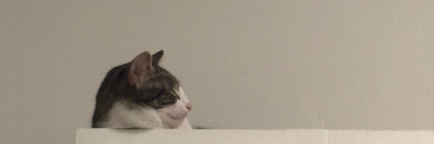 JohnnyGES's profile banner image