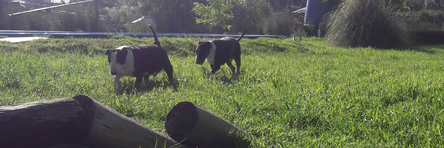 Anabelin Roumec banner