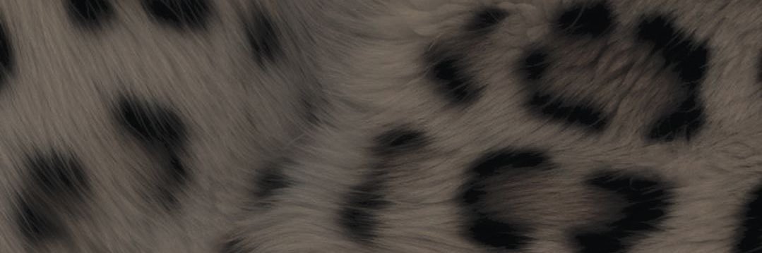 g5iit's profile banner image