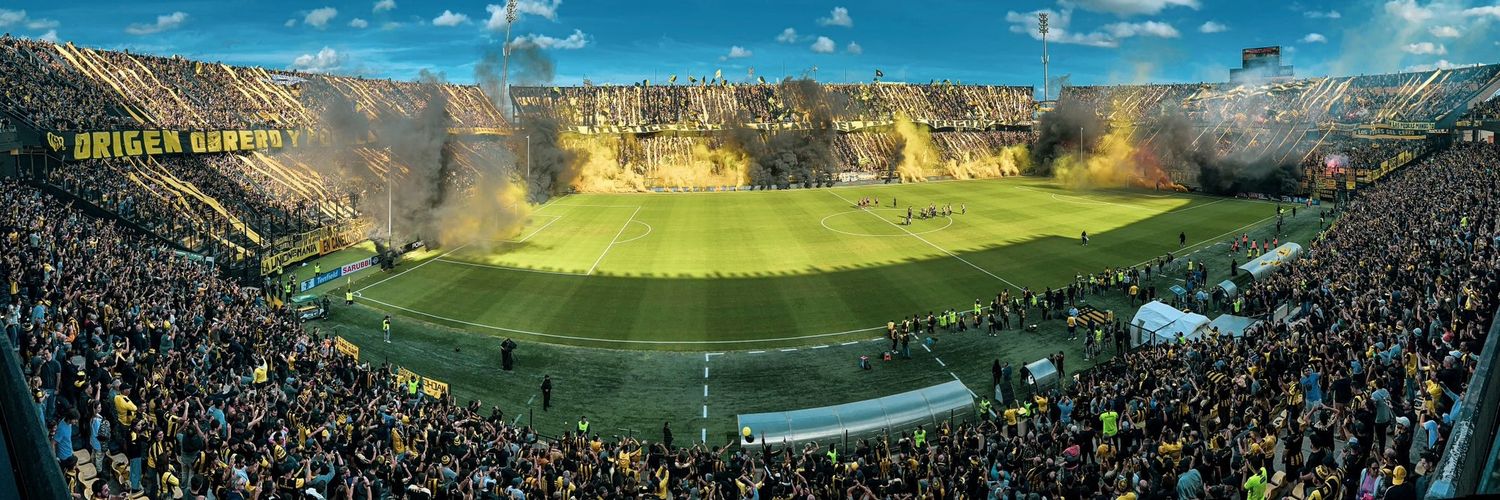 NandinCarbonero🌟🌟🌟🌟🌟 banner