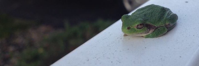 TheLeoSol's profile banner image
