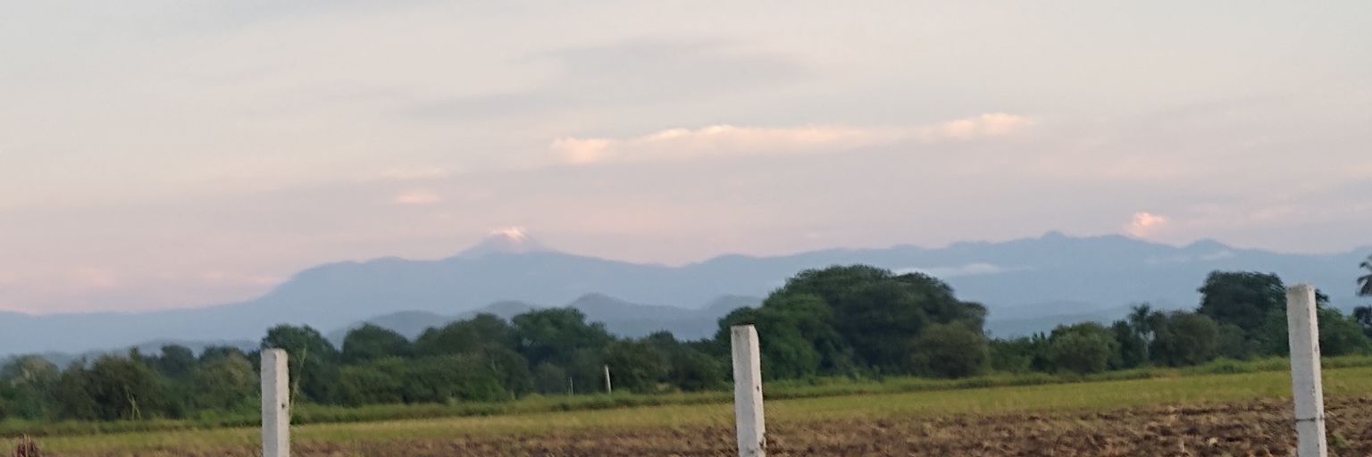 Stephanie Conde banner