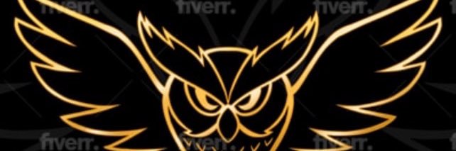 The Real Oshow's banner