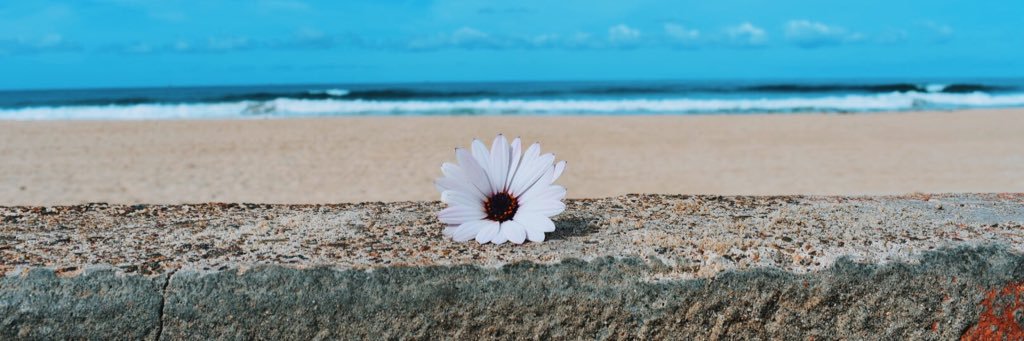 jessicanhogan's profile banner image