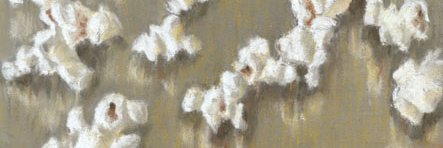 eleta's profile banner image