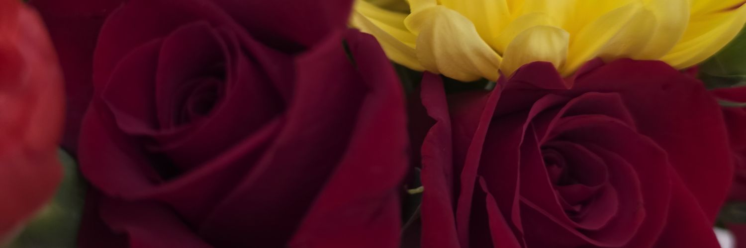 Delivered22's profile banner image