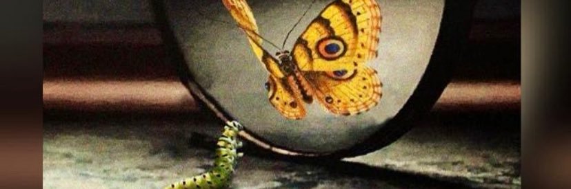 madcocra's profile banner image