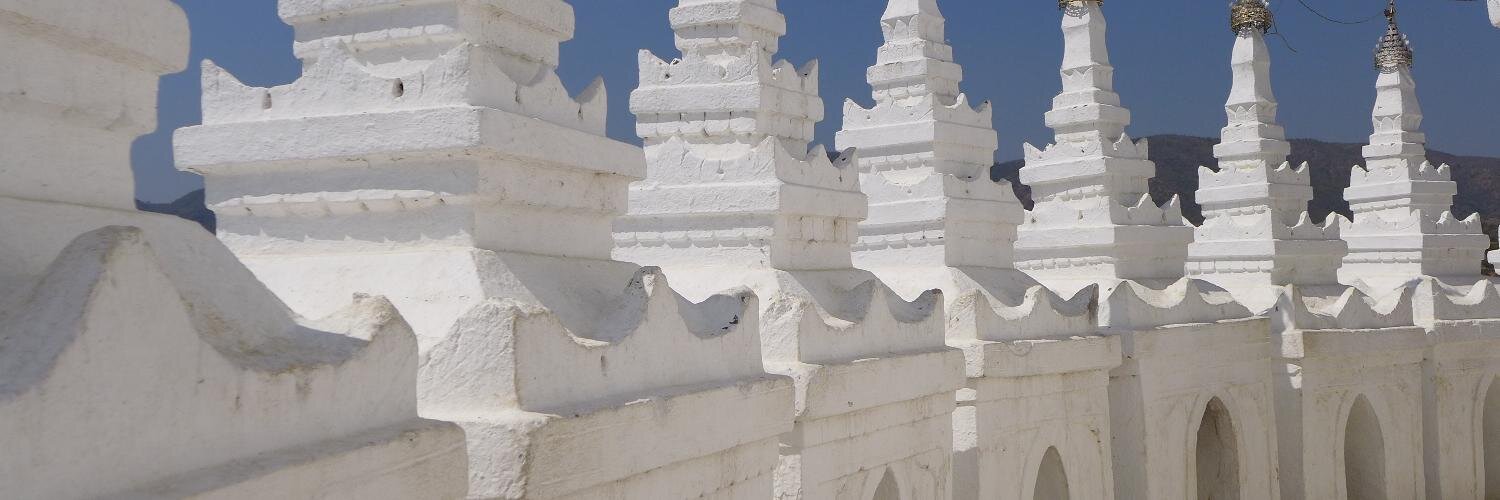 dominique turcq banner