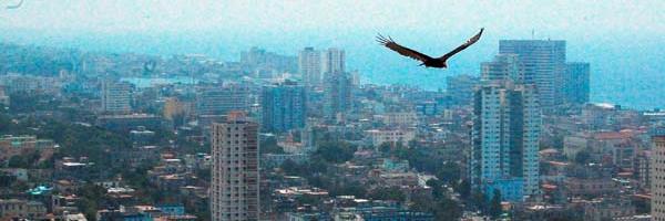 Edelopez Profile Banner