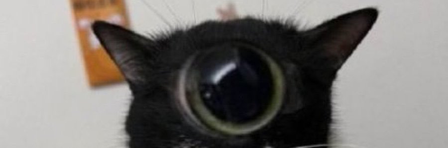 Not My Pfp's banner