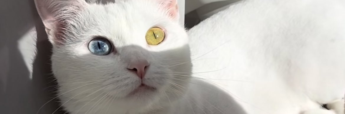 maviay555's profile banner image