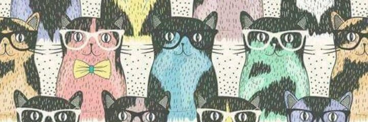_florciflo's profile banner image