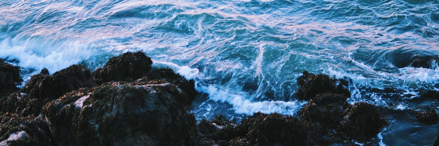 clairewalker_x's profile banner image