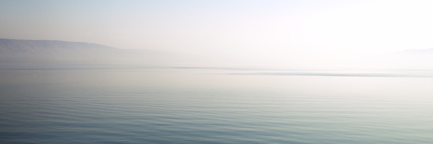 Martine Hoffmann, Dr banner